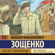 бесплатно читать книгу Веселое приключение автора Михаил Зощенко