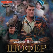 бесплатно читать книгу Шофёр автора Андрей Никонов