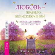 бесплатно читать книгу Любовь – правило без исключений. Освободи жизнь от препятствий автора Филена Брюс