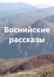 бесплатно читать книгу Боснийские рассказы автора Александр Кравченко