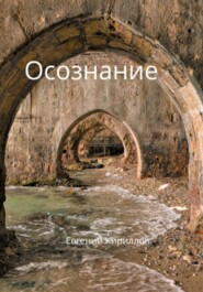 бесплатно читать книгу Осознание автора Евгений Кириллов