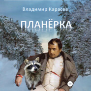 бесплатно читать книгу Планёрка автора Владимир Карасев