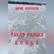 бесплатно читать книгу Такая разная война автора Юрий Шорохов