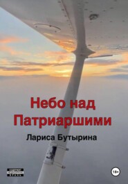 бесплатно читать книгу Небо над Патриаршими автора Лариса Бутырина