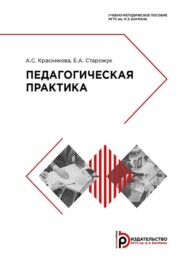 бесплатно читать книгу Педагогическая практика автора Евгений Старожук