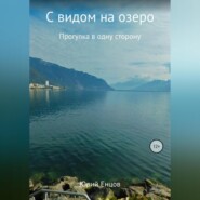 бесплатно читать книгу С видом на озеро автора Юрий Енцов