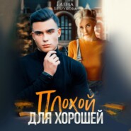бесплатно читать книгу Плохой для хорошей автора Елена Безрукова