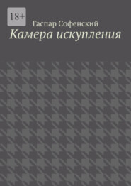 бесплатно читать книгу Камера искупления автора Гаспар Софенский