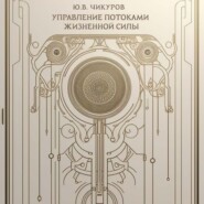 бесплатно читать книгу Управление потоками жизненной силы автора Юрий Чикуров