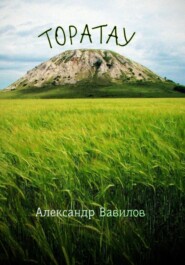 бесплатно читать книгу Торатау автора Александр Вавилов