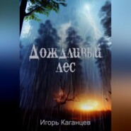 бесплатно читать книгу Дождливый лес автора Игорь Каганцев