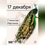 бесплатно читать книгу 17 декабря автора Станислав Мартынов