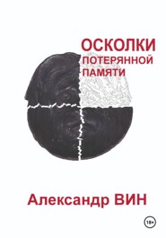 бесплатно читать книгу Осколки потерянной памяти автора Александр ВИН