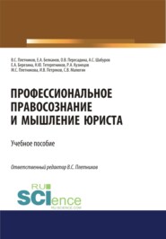 бесплатно читать книгу Профессиональное правосознание и мышление юриста. (Аспирантура, Бакалавриат, Магистратура). Учебное пособие. автора Виктор Плетников