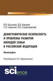 бесплатно читать книгу Демографическая безопасность и проблемы развития молодой семьи в российской федерации. (Аспирантура, Бакалавриат, Магистратура). Монография. автора П Станиславский