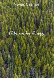 бесплатно читать книгу Однажды в лесу автора Степан Чолак