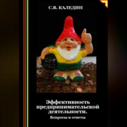 бесплатно читать книгу Эффективность предпринимательской деятельности. Вопросы и ответы автора Сергей Каледин