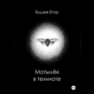 бесплатно читать книгу Мотылёк в темноте автора Егор Бушев