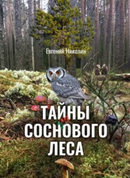 бесплатно читать книгу Тайны соснового леса автора Евгений Николин