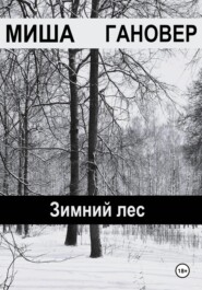 бесплатно читать книгу Зимний лес автора Миша Гановер