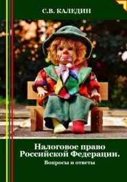 бесплатно читать книгу Налоговое право Российской Федерации. Вопросы и ответы автора Сергей Каледин