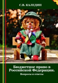 бесплатно читать книгу Бюджетное право в Российской Федерации. Вопросы и ответы автора Сергей Каледин
