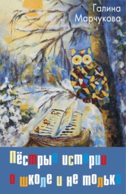 бесплатно читать книгу Пёстрые истории о школе и не только… автора Галина Марчукова