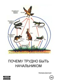 бесплатно читать книгу Почему трудно быть начальником автора Дмитрий Матвеев