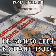 бесплатно читать книгу Несколько дней в стране чудес автора Роман Беляев