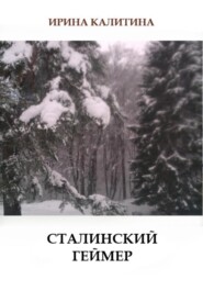 бесплатно читать книгу Сталинский геймер автора Ирина Калитина