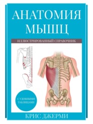 бесплатно читать книгу Анатомия мышц: иллюстрированный справочник автора Крис Джерми