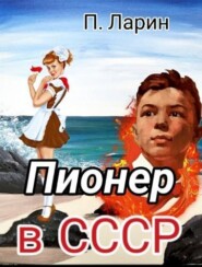 бесплатно читать книгу Пионер в СССР автора Павел Ларин