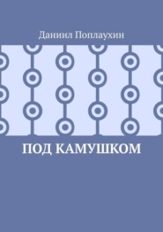 бесплатно читать книгу Под камушком автора Даниил Поплаухин