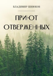 бесплатно читать книгу Приют отверженных автора Владимир Шнюков