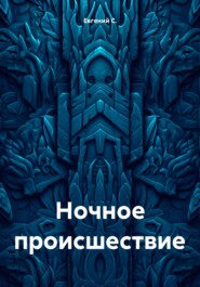 бесплатно читать книгу Ночное происшествие автора Евгений С.