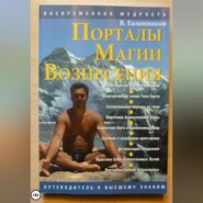 бесплатно читать книгу Порталы магии вознесения автора Владимир Евланников