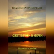 бесплатно читать книгу Светлячок в ночи автора Владимир Примечаев