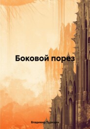бесплатно читать книгу Боковой порез автора Владимир Турищев