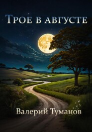 бесплатно читать книгу Трое в августе автора Валерий Туманов