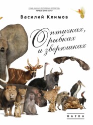 бесплатно читать книгу О птичках, рыбках и зверюшках автора Василий Климов