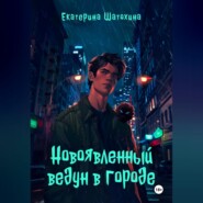 бесплатно читать книгу Новоявленный ведун в городе автора Екатерина Шатохина