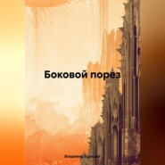 бесплатно читать книгу Боковой порез автора Владимир Турищев