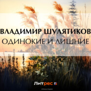 бесплатно читать книгу Одинокие и лишние автора Владимир Шулятиков