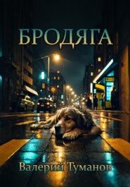бесплатно читать книгу Бродяга автора Валерий Туманов
