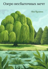 бесплатно читать книгу Озеро несбыточных мечт автора Анна Буланкина