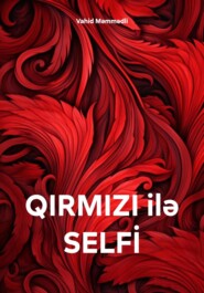 бесплатно читать книгу QIRMIZI ilə SELFİ автора Vahid Məmmədli
