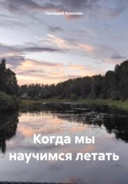 бесплатно читать книгу Когда мы научимся летать автора Геннадий Кумохин