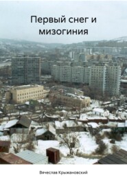 бесплатно читать книгу Первый снег и мизогиния автора Вячеслав Крыжановский