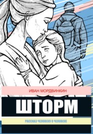 бесплатно читать книгу Шторм автора Иван Мордвинкин