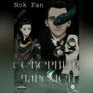 бесплатно читать книгу Северный чародей автора Nok Fan